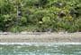 Putanui Point Campsite