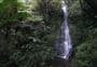 Maude Track to Mangakotukutuku Falls