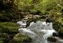 Duffy Creek Route