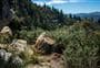 Chalkies Track