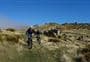 Omeo Gully Track