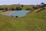 Motutapu Walkway