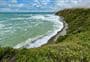 Bushy Beach Track