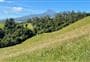 Davies Track