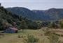 Taipo River Track to Harman Pass