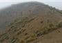 Mount Barrosa Track