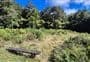Central Clearing Campsite