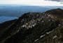 Mount Tuhua Track