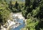 Pelorus Track