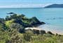 Taumarumaru Scenic Reserve Walk