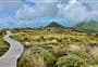 Mangorei Track to Pouākai tarns