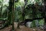 Waitomo Walkway