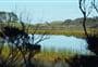Lake Ngatu Track