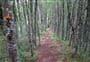 Otaika Valley Walkway