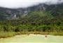 Copland Track to Welcome Flat Hut