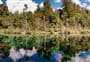 Lake Kaitawa Fairy Springs Track