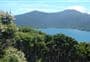 Motuara Island Lookout Track 