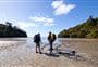 Rakiura Track