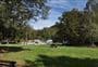 Slab Hut Creek Campsite