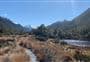 Alpine Nature Walk
