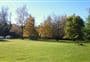 Pioneer Park Campsite