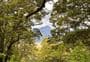 Governors Bush Walk