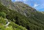 Routeburn Track: Earland Falls Track 