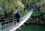 Paengaroa Scenic Reserve Walk