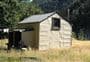 Bush Hut