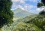 Te Aroha Summit Track