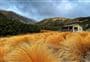 Speargrass Hut