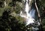 Tarawera Outlet to Falls Track