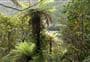 Fenceline Walk