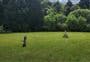Kaniwhaniwha Campsite