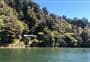Freds Camp Hut