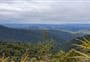 Mangamuka Track