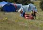 Kuripapango (Ox Bow) Campsite