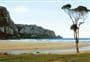 Purakaunui Bay Campsite