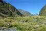 Wilkin Valley tracks