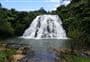 Owharoa Falls Track