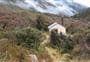 Top Toaroha Hut