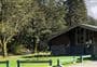 Avalanche Creek Shelter Campsite