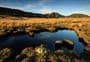 Upper Matiri Valley and 1000 Acre Plateau tramping tracks