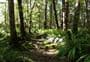 Pearl Harbour to Back Valley Hut Track