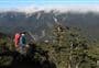Parks Peak Track to Yeoman's Track