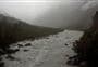 Upper Copland Valley Track