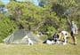 Tōtaranui Great Walk Campsite