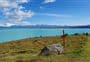 Pukaki Kettle Hole Track