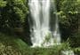 Waitanguru Falls Walk