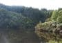 Otago Dam Track
